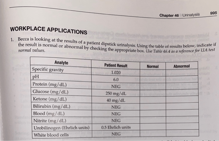 Starch hydrolysis microbiology iodine interpretation